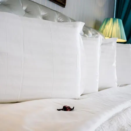 Hotel Phoenicia Boutique Hotel - Adults Only 5*
